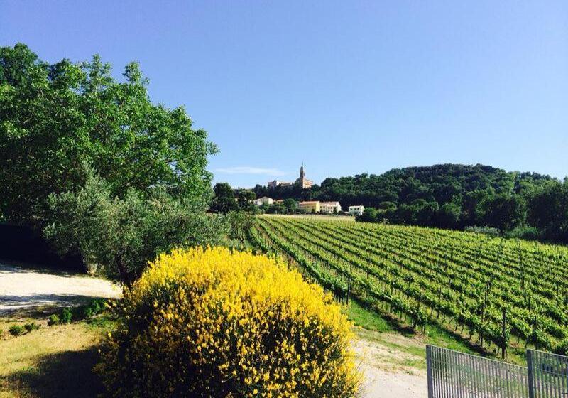 اتاق اکونومی, Country House Il Sassòne