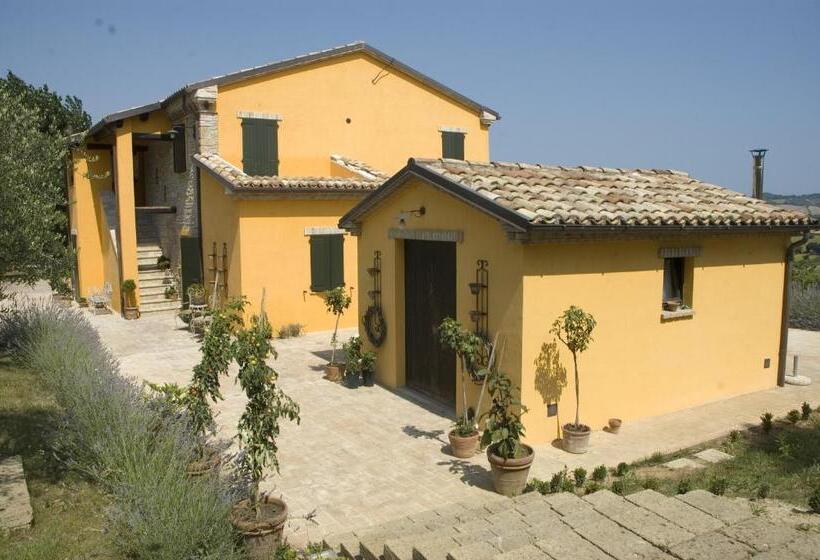اتاق اکونومی, Country House Il Sassòne