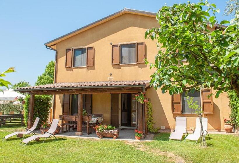 اتاق استاندارد چهار تخته, Agriturismo Le Dolci Colline