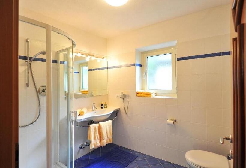 Апартаменты 1 Спальня с Террасой, Appartements Schmied Hans