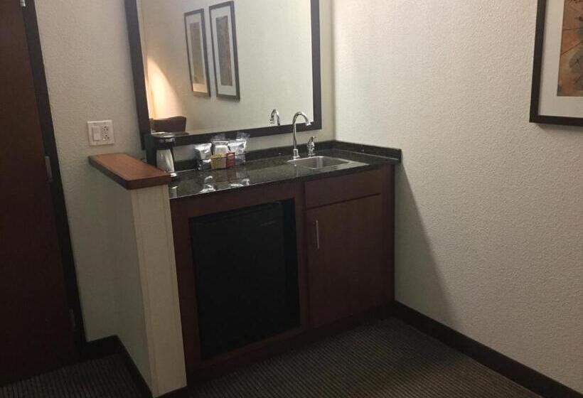 스탠다드 룸 더블 침대 2개, Hyatt Place Nashville Airport