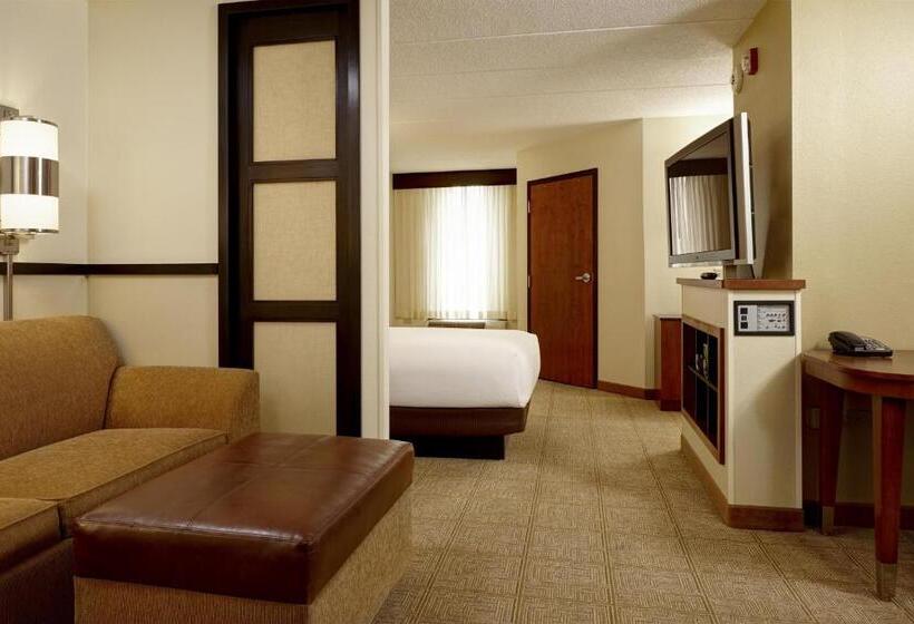 스탠다드 룸 킹사이즈 침대, Hyatt Place Nashville Airport