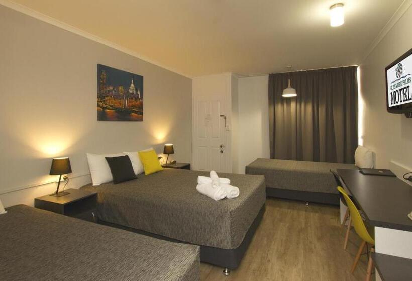 패밀리 룸, Glenmore Palms Motel