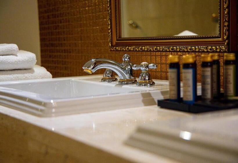 标准间内部标间, Boutique Hotel Slávia