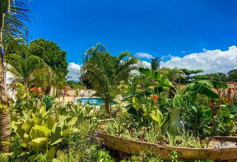 اتاق لوکس با چشم‌انداز باغ, Golden Palm Boutique Zanzibar