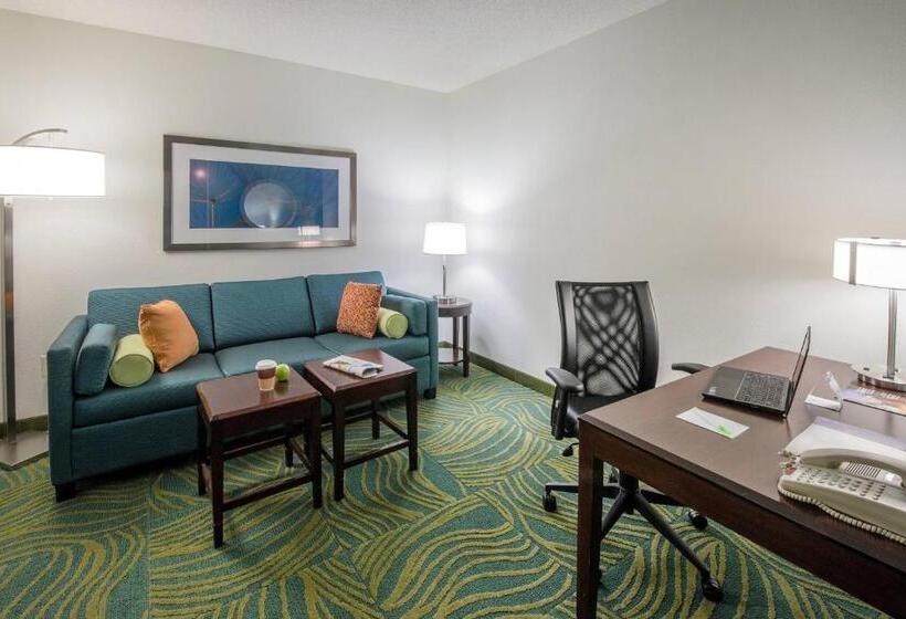 Люкс Кровать Кинг, Springhill Suites By Marriott Greensboro