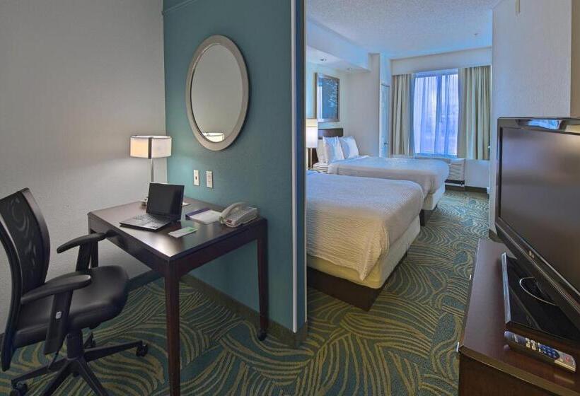 Люкс, Springhill Suites By Marriott Greensboro