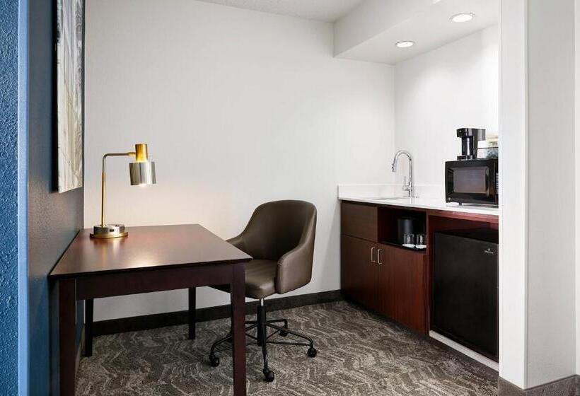 Люкс, Springhill Suites By Marriott Richmond North/glen Allen