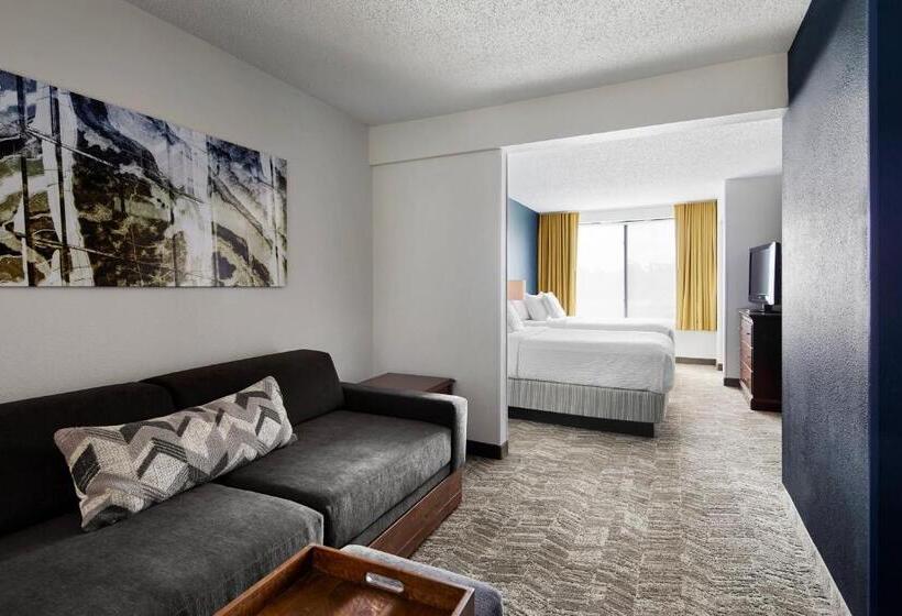 장애인을 위한 스위트, Springhill Suites By Marriott Richmond North/glen Allen