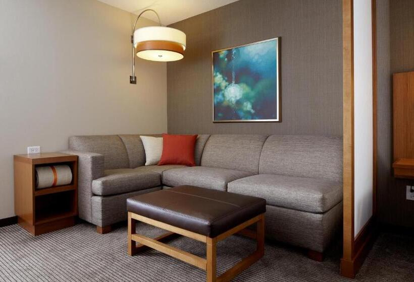 身障者適用スタンダードルーム, Hyatt Place National Harbor