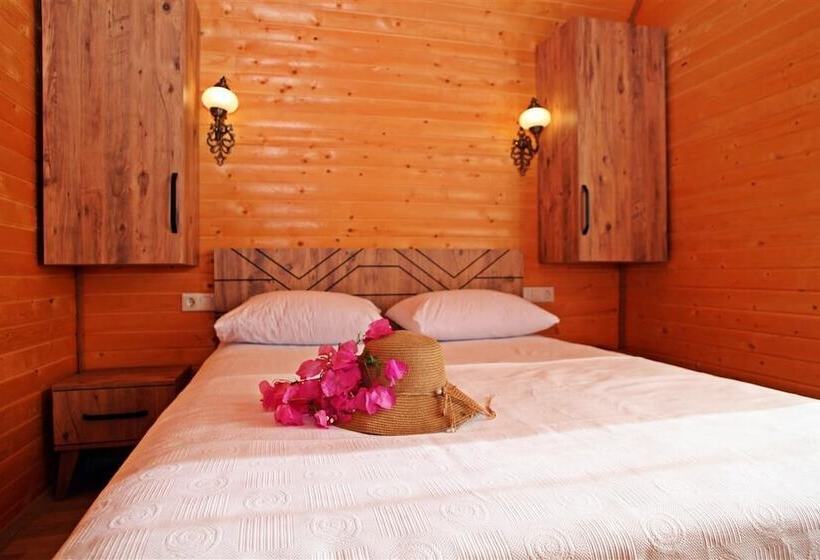 Quarto Estandar, Kaş Hi̇story Li̇manağzi