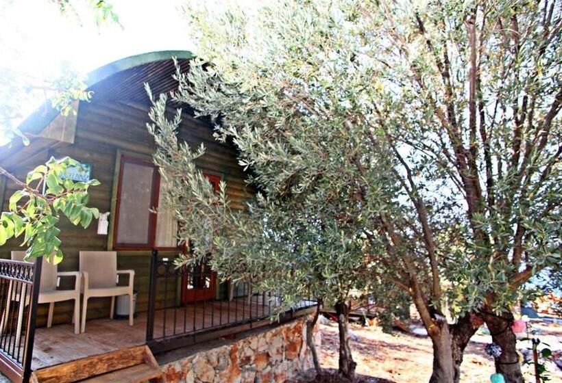 اتاق لوکس چهار تخته, Kaş Hi̇story Li̇manağzi