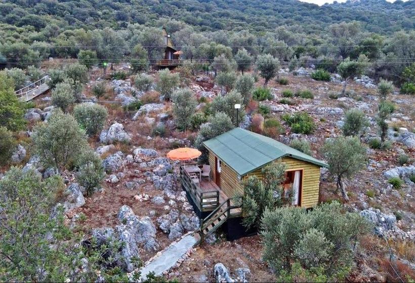 Quarto Estandar, Kaş Hi̇story Li̇manağzi