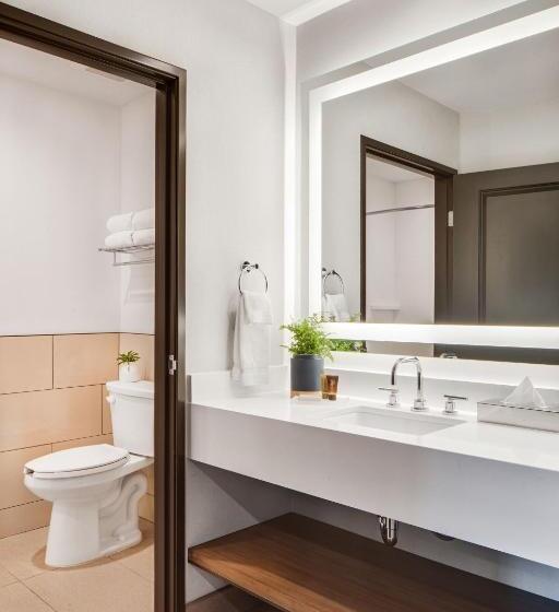Номер Deluxe, Ayres Hotel Vista Carlsbad