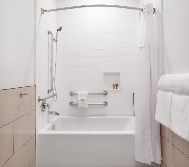 Номер Стандарт Кровать Кинг Адаптированный для Инвалидов, Ayres Hotel Vista Carlsbad