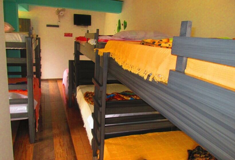 Семейный Номер, Eco Hotel Parador De Rapi