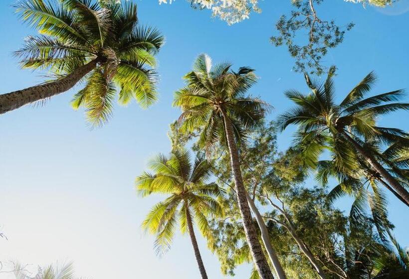 빌라 침실 1개, Villa Beach Palm Cove