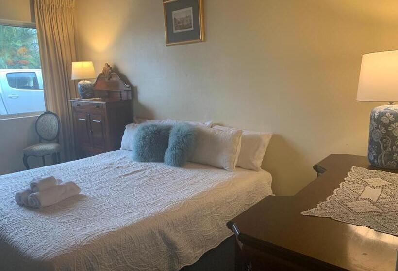 스탠다드 룸 킹사이즈 침대, Temora Motel