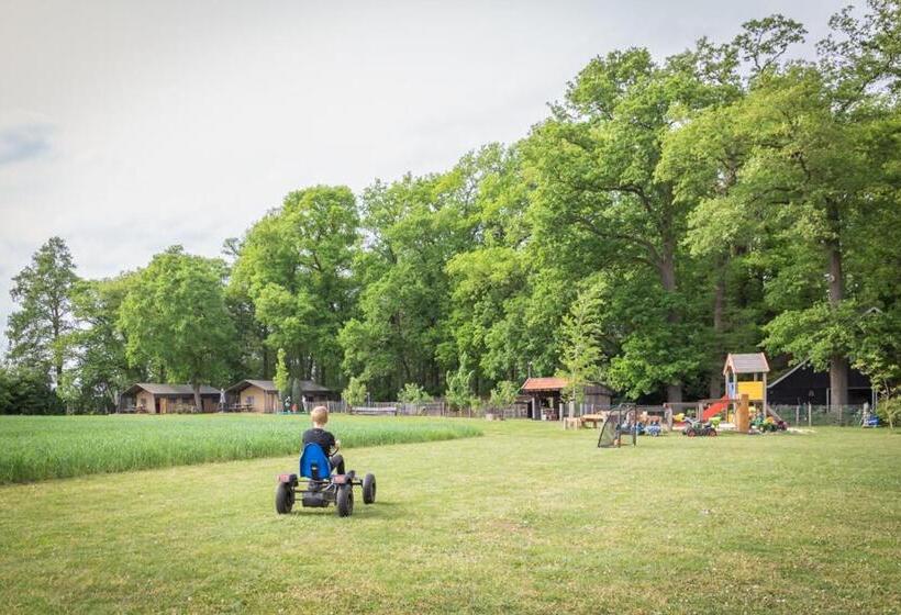 Дом 3 Спальни, Landrijk De Reesprong Boerderij