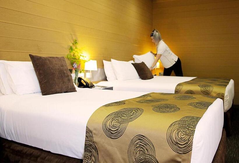 Номер Стандарт, Room Motels Kingaroy