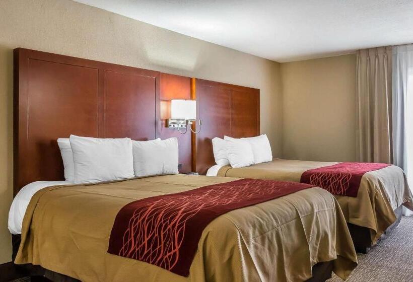 חדר סטנדרט מותאם לאדם עם מוגבלויות, Comfort Inn