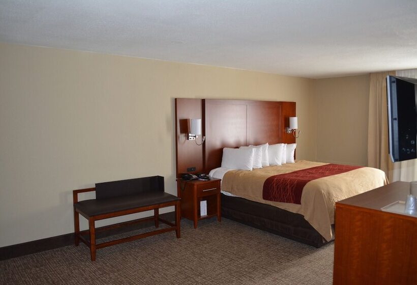 סוויטה, Comfort Inn