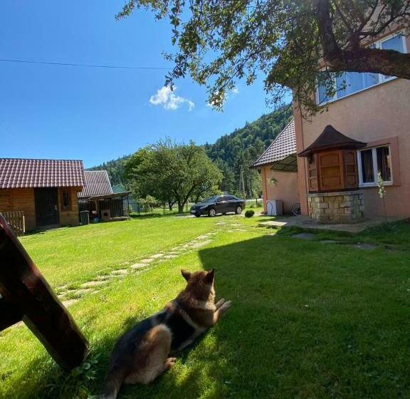 Дом 1 Спальня, Chalet зоряні ночі