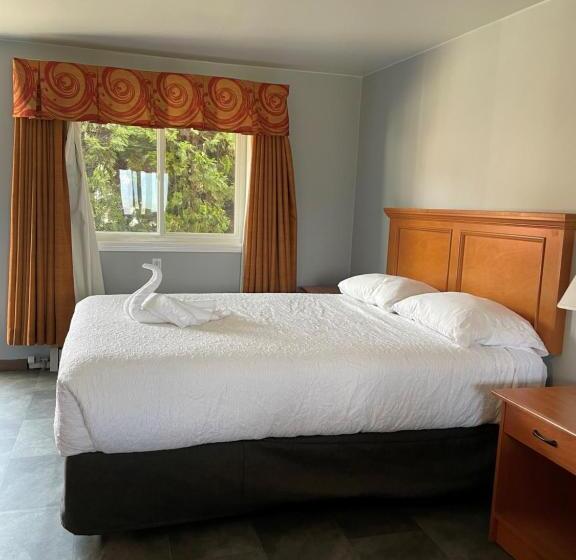 标准间, Sorrento Inn Motel