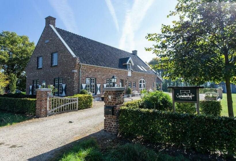 Номер Стандарт, Spraelandhof
