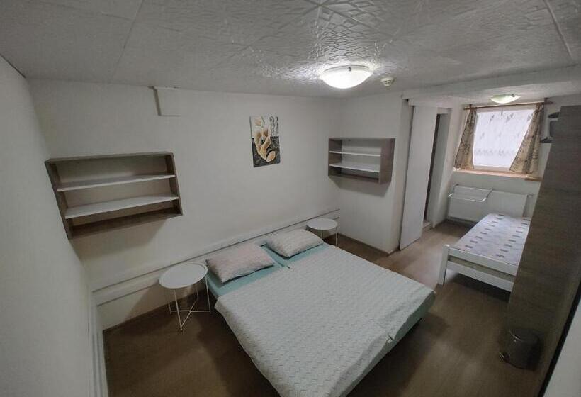 标准三人间, Motel šofér