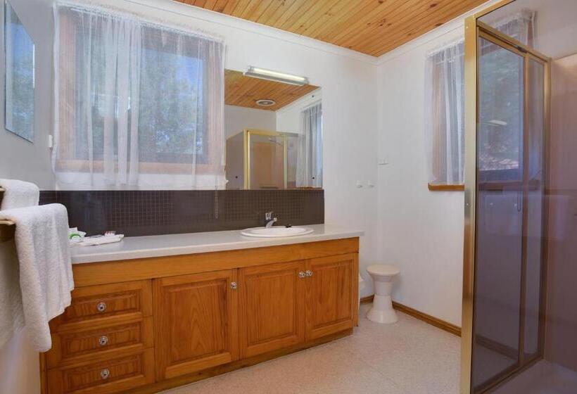 스탠다드 룸, Tamar Valley Resort Grindelwald