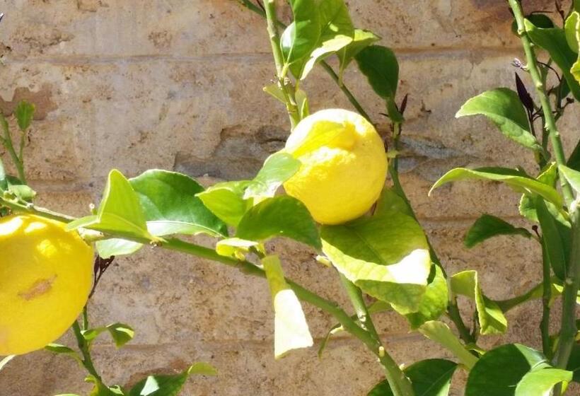 침실 2개 주택, Morialta Barns