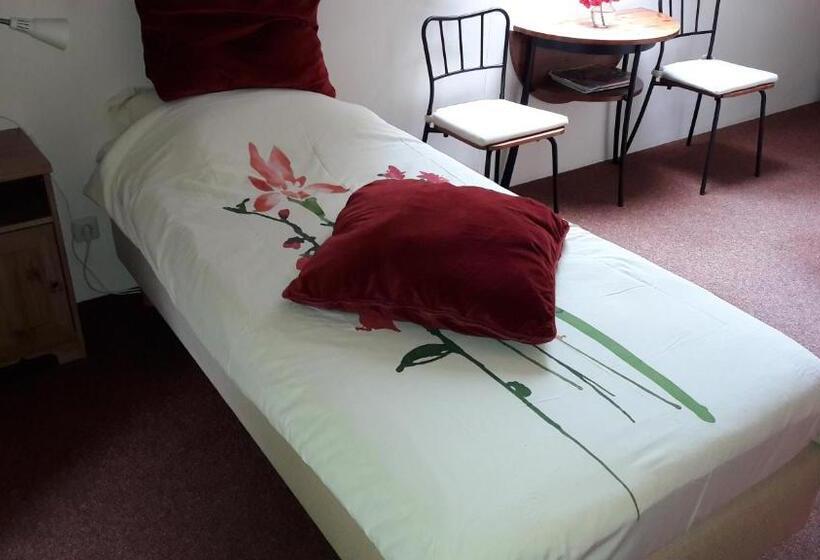 חדר סטנדרד יחיד חדר אמבטיה משותף, Bed & Breakfast Onder Dak