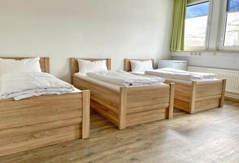 Трехместный Номер Стандарт Совместная Ванная, Hammerhotel   Halle Saale