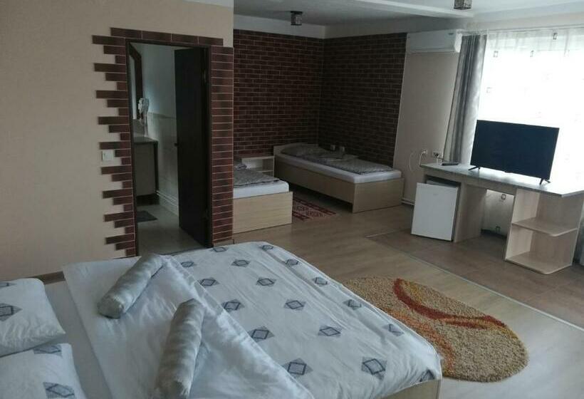 اتاق لوکس خانوادگی, Pensiunea Dandu