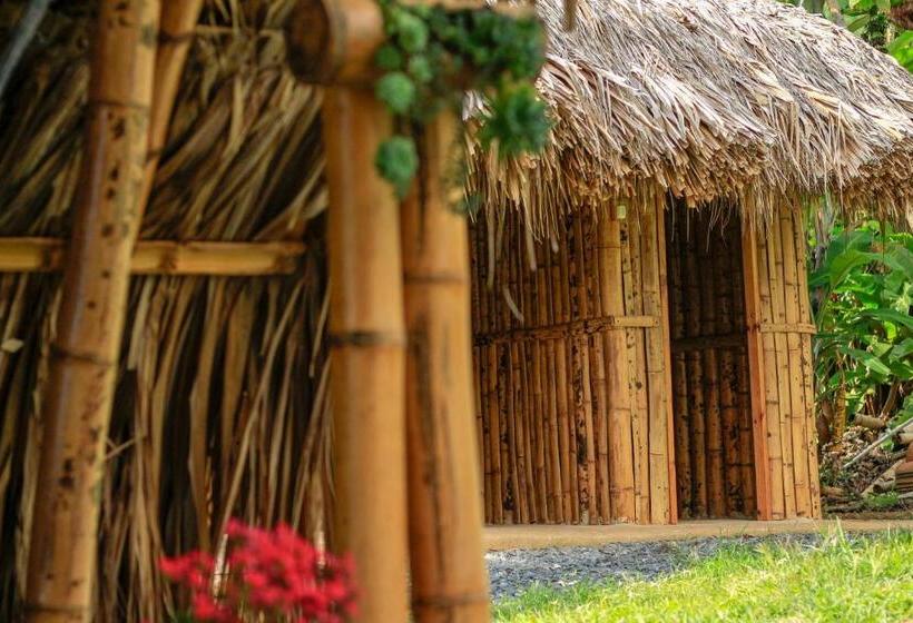 스탠다드 방갈로, San Julio Campestre