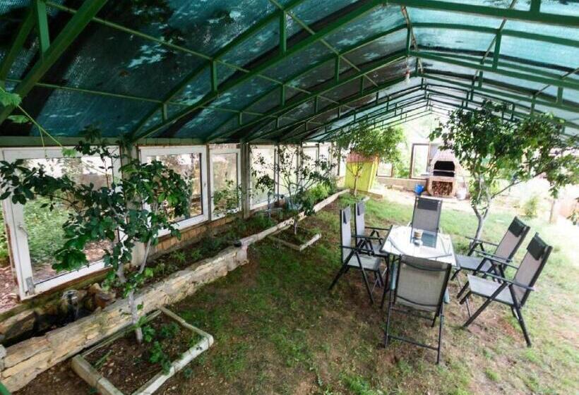Студия Стандарт Вид на Море, Apartments Milic