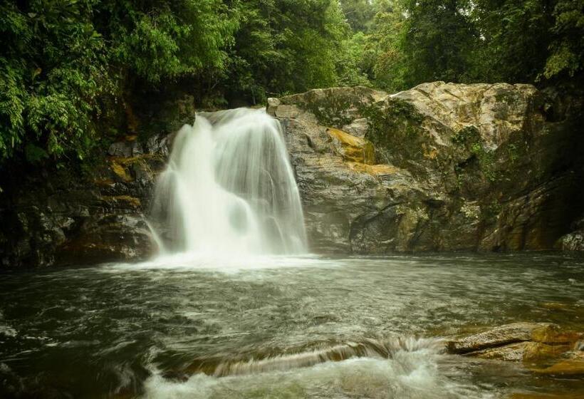标准间, Sinharaja Forest Gate