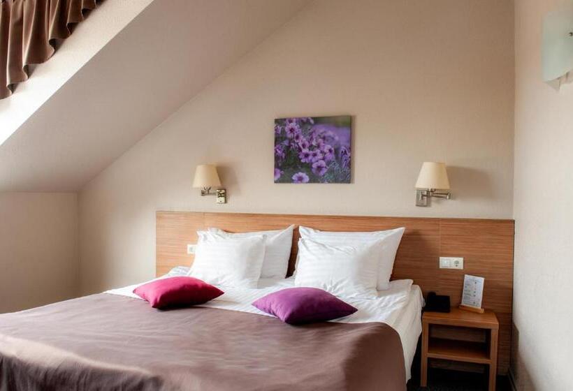 Superior Room, Sigulda