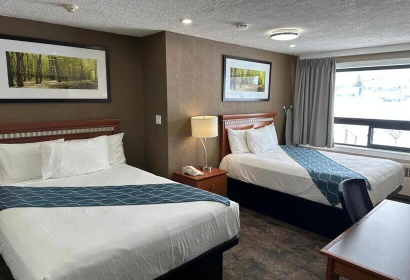 带2个双人床的标准工作室, Champlain Motor Inn