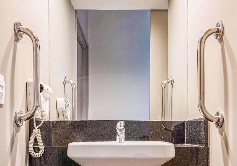 Апартаменты 1 Спальня, Ibis Piracicaba