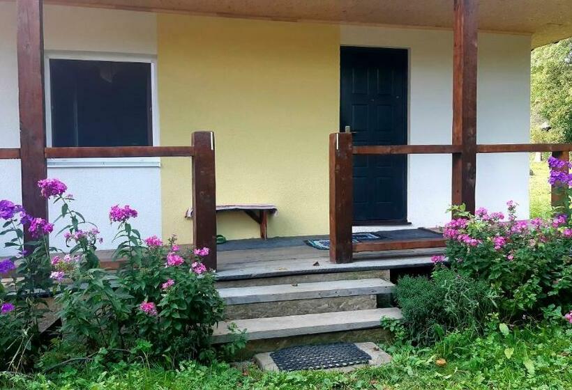 Четырехместный Номер Стандарт, Dacha Podobovets 127