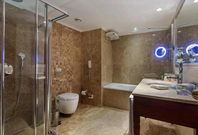 小型套房, Wyndham Grand Kayseri