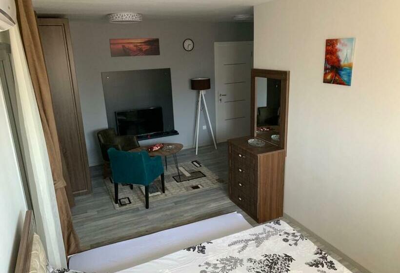 اتاق لوکس با بالکن, Apartments Divoli