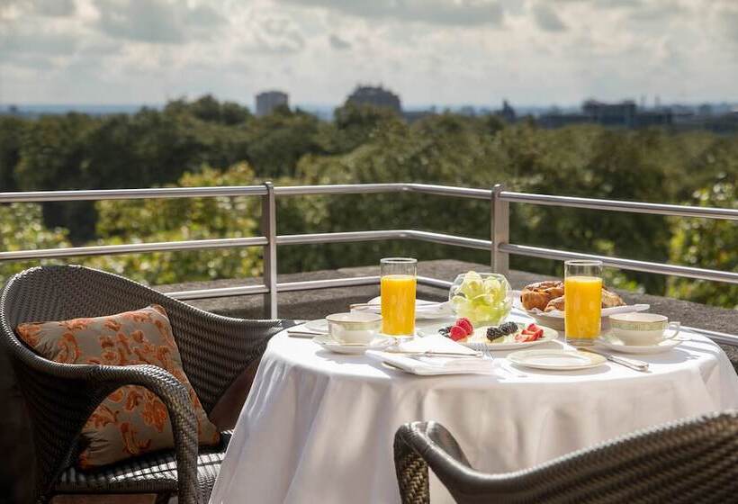 Люкс Премиум, Jw Marriott Grosvenor House London