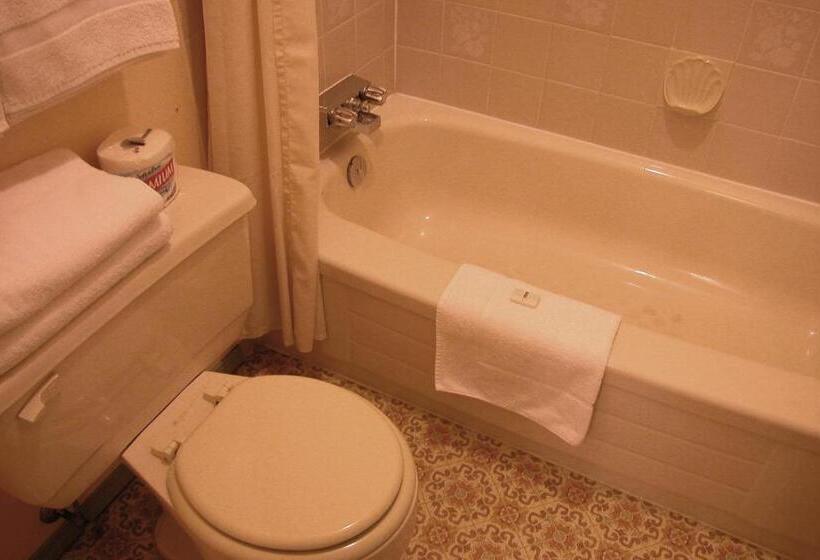 Quarto Estandar, Best Seven Inn