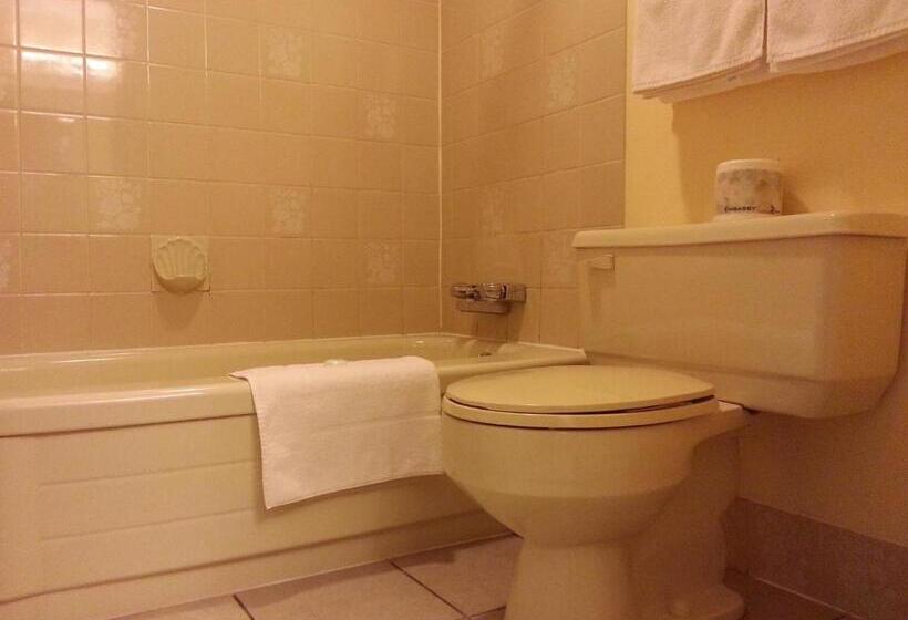 Quarto Deluxe, Best Seven Inn