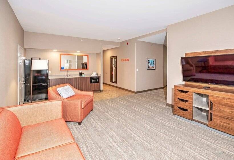 סוויטה, Hampton Inn By Hilton Ottawa