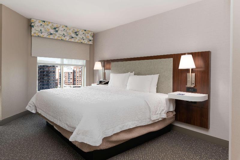 Люкс Кровать Кинг, Hampton Inn & Suites Arlington Crystal City Dca