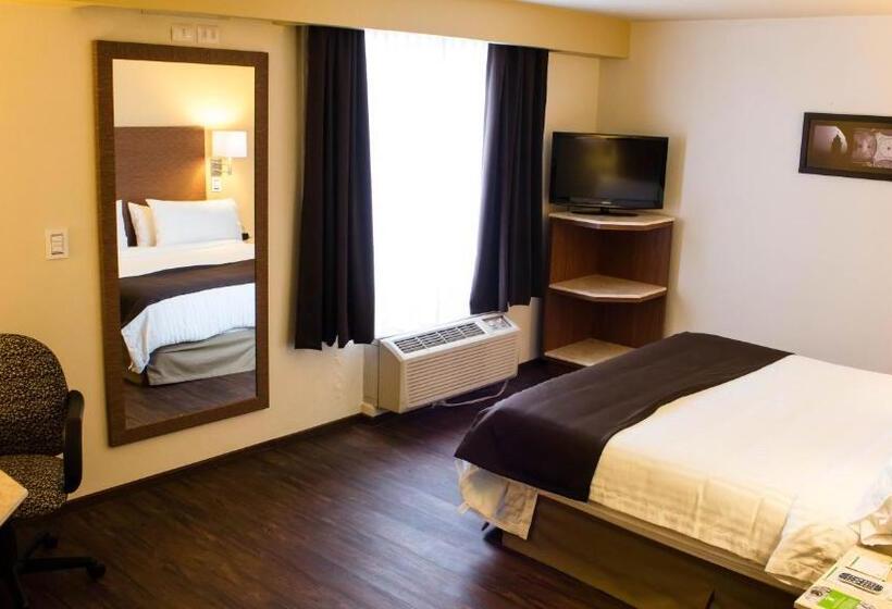 キングサイズベッドのスタンダードルーム, Holiday Inn Orizaba, An Ihg